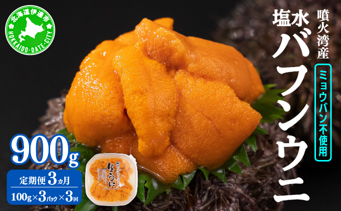 【定期便3カ月】北海道 噴火湾産 塩水 バフンウニ 100g 3パック 《アフター保証付き》うに ウニ 雲丹 海鮮 海の幸 魚介類 ウニ丼 お寿司 濃厚 無添加 産地直送 産直 お取り寄せ 山村水産 送料無料