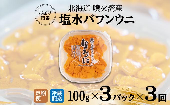 【定期便3カ月】北海道 噴火湾産 塩水 バフンウニ 100g 3パック うに ウニ 雲丹 海鮮 海の幸 魚介類 ウニ丼 お寿司 濃厚 無添加 産地直送 産直 お取り寄せ 山村水産 送料無料