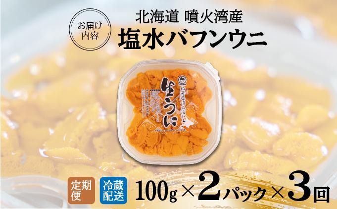 【定期便3カ月】北海道 噴火湾産 塩水 バフンウニ 100g 2パック うに ウニ 雲丹 海鮮 海の幸 魚介類 ウニ丼 お寿司 濃厚 無添加 産地直送 産直 お取り寄せ 山村水産 送料無料