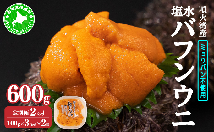 【定期便2カ月】北海道 噴火湾産 塩水 バフンウニ 100g 3パック 《アフター保証付き》うに ウニ 雲丹 海鮮 海の幸 魚介類 ウニ丼 お寿司 濃厚 無添加 産地直送 産直 お取り寄せ 山村水産 送料無料