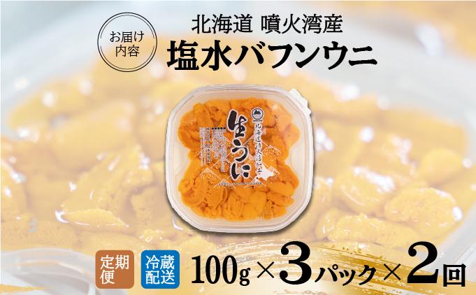 【定期便2カ月】北海道 噴火湾産 塩水 バフンウニ 100g 3パック うに ウニ 雲丹 海鮮 海の幸 魚介類 ウニ丼 お寿司 濃厚 無添加 産地直送 産直 お取り寄せ 山村水産 送料無料