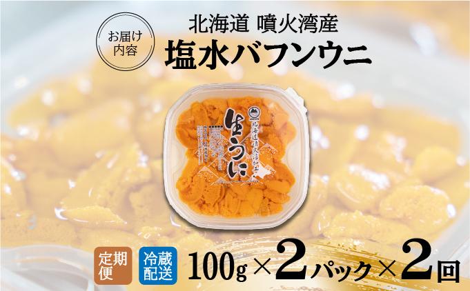 【定期便2カ月】北海道 噴火湾産 塩水 バフンウニ 100g 2パック うに ウニ 雲丹 海鮮 海の幸 魚介類 ウニ丼 お寿司 濃厚 無添加 産地直送 産直 お取り寄せ 山村水産 送料無料