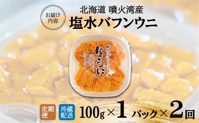 【定期便2カ月】北海道 噴火湾産 塩水 バフンウニ 100g 1パック うに ウニ 雲丹 海鮮 海の幸 魚介類 ウニ丼 お寿司 濃厚 無添加 産地直送 産直 お取り寄せ 山村水産 送料無料