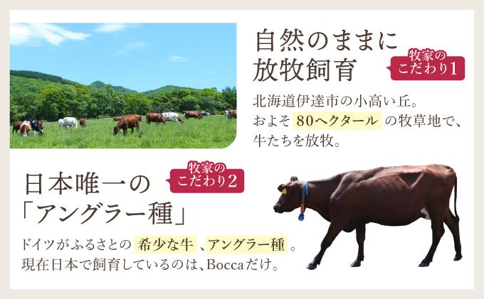 北海道 牧家 Bocca かける チーズ ソース カンコワイヨット 10個 セット