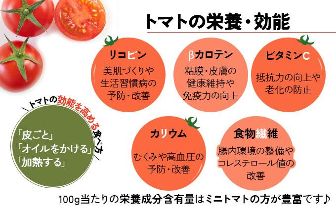 【 2026年発送 】 先行予約 北海道 伊達市 ミニトマト ほれまる 3kg 【オンライン決済限定】55250962