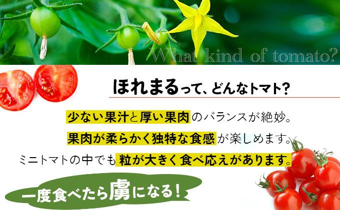 【 2026年発送 】 先行予約 北海道 伊達市 ミニトマト ほれまる 3kg 【オンライン決済限定】55250962