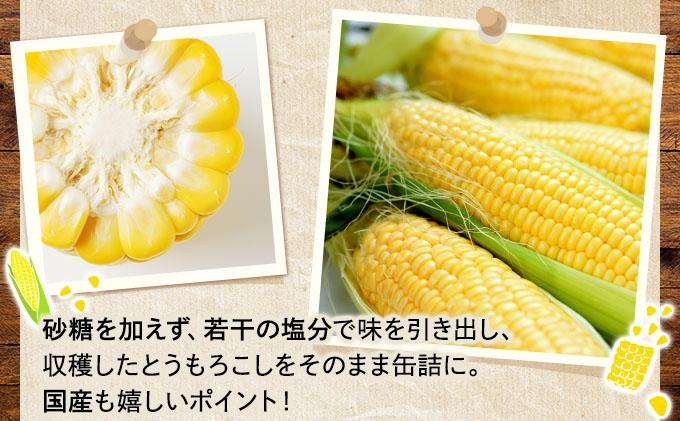 北海道 自然甘 ホールコーン 7号 230g×12缶 コーン缶 スイートコーン コーン とうもろこし とうきび トウモロコシ 缶 缶詰 国産 甘い 長期保存 備蓄 常温 クレードル 送料無料 伊達市