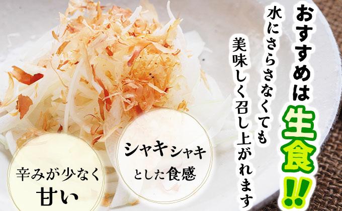 【2026年6月中旬発送】白玉ねぎ 4kg 北海道 伊達産 タマネギ 玉葱 サラダ [famy-002]