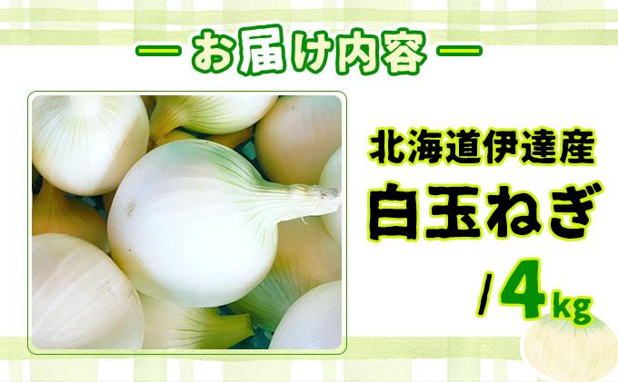 【2026年6月中旬発送】白玉ねぎ 4kg 北海道 伊達産 タマネギ 玉葱 サラダ [famy-002]
