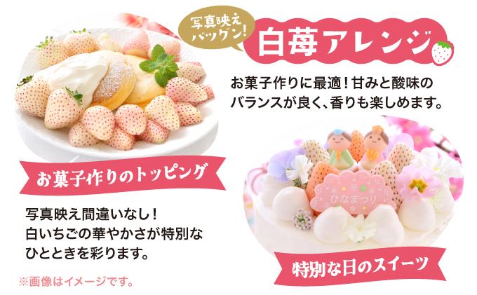 ïŒå
è¡äºçŽïŒ åæµ·é äŒéåž å€©äœ¿ã®ãã¡ãïŒSïœLãµã€ãº 25ïœ35åïŒ ãããããïŒMãµã€ãº30åãŸãã¯Lãµã€ãº24åïŒã55250948ãèº ã€ã㎠ã¹ã€ãŒã ãã¶ãŒã æç© çã èµ€ çœ é®®ãã æ°é®® ã±ãŒã ãèåäœã åžå°