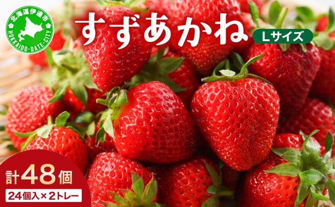 ＜先行予約＞ 北海道 伊達市 いちご すずあかね Lサイズ 24個入り 2トレー 48個【55250945】苺 イチゴ スイーツ デザート 果物 甘い 赤 鮮やか 新鮮 ケーキ お菓子作り