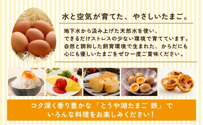 【3ヵ月 定期便】 北海道 伊達市 とうや湖 卵 鉄  80個 入り たまご