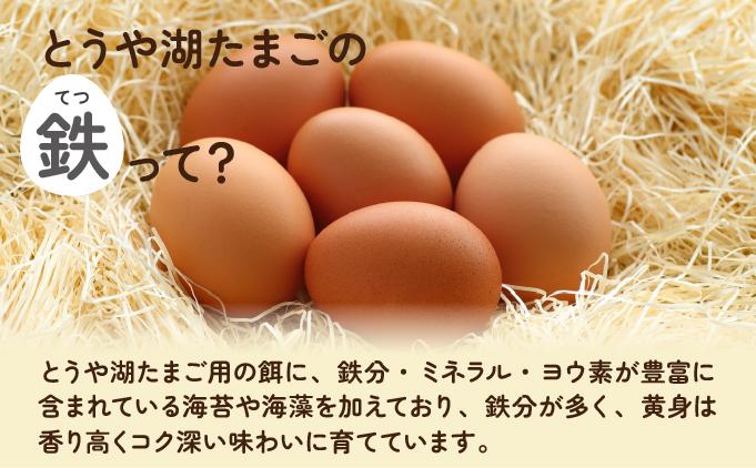 【3ヵ月 定期便】 北海道 伊達市 とうや湖 卵 鉄  80個 入り たまご