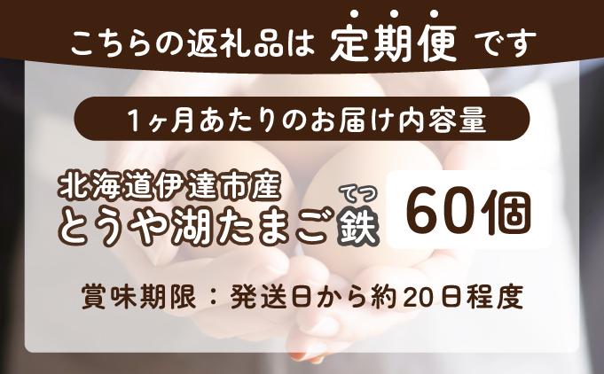 【6ヵ月 定期便】 北海道 伊達市 とうや湖 卵 鉄  60個 入り たまご