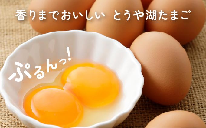 【3ヵ月 定期便】 北海道 伊達市 とうや湖 卵  60個 入り たまご