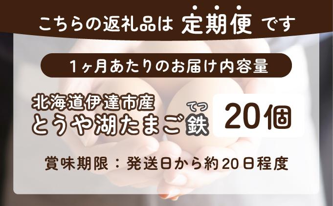 【3ヵ月 定期便】 北海道 伊達市 とうや湖 卵 鉄  20個 入り たまご