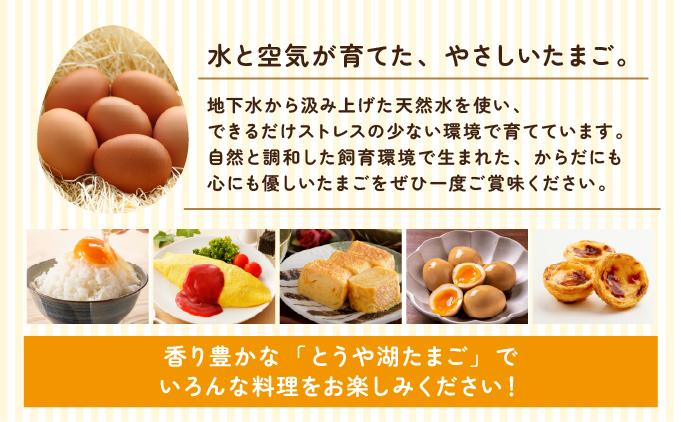 【6ヵ月 定期便】 北海道 伊達市 とうや湖 卵  20個 入り たまご