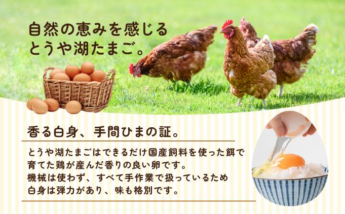 北海道 伊達市 とうや湖 卵  60個 入り たまご