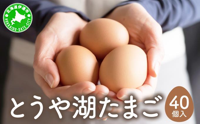 北海道 伊達市 とうや湖 卵  40個 入り たまご