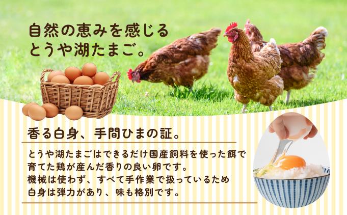 北海道 伊達市 とうや湖 卵 鉄  20個 入り たまご