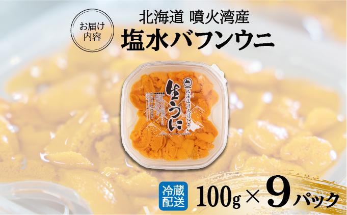 北海道 噴火湾産 塩水 バフンウニ 100g 9パック 計900g うに ウニ 雲丹 海鮮 海の幸 魚介類 ウニ丼 お寿司 濃厚 無添加 産地直送 お取り寄せ 山村水産 送料無料