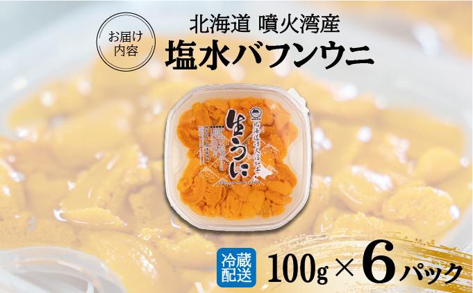 北海道 噴火湾産 塩水 バフンウニ 100g 6パック 計600g うに ウニ 雲丹 海鮮 海の幸 魚介類 ウニ丼 お寿司 濃厚 無添加 産地直送 お取り寄せ 山村水産 送料無料