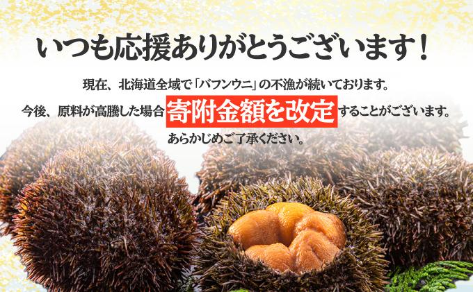 北海道 噴火湾産 塩水 バフンウニ 100g 5パック 計500g うに ウニ 雲丹 海鮮 海の幸 魚介類 ウニ丼 お寿司 濃厚 無添加 産地直送 お取り寄せ 山村水産 送料無料