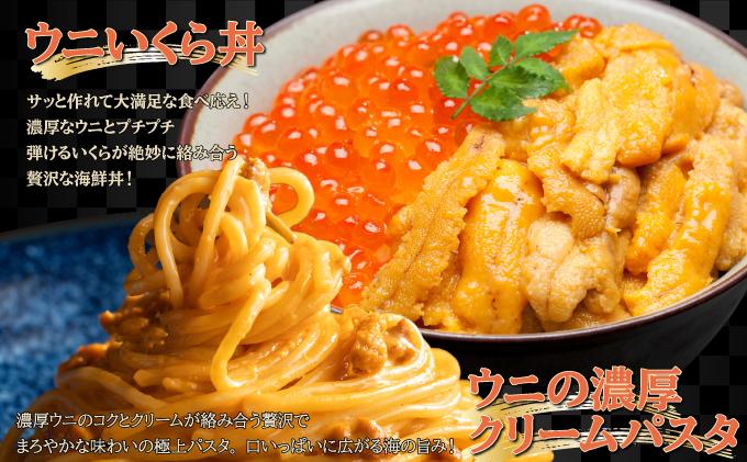 塩水蝦夷バフンウニ 100グラム×5 北海道産ウニ2色セット蝦夷バフンウニ100ｇ ムラサキウニ100ｇ 蝦夷