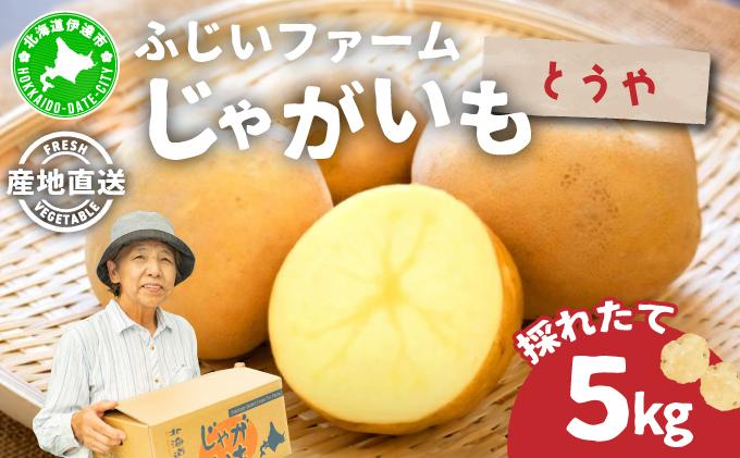 ＜先行予約＞北海道産 じゃがいも(とうや) 約5kg【55250843】ジャガイモ 馬鈴薯 ポテト 芋 イモ 国産 野菜 人気 ふじいファーム