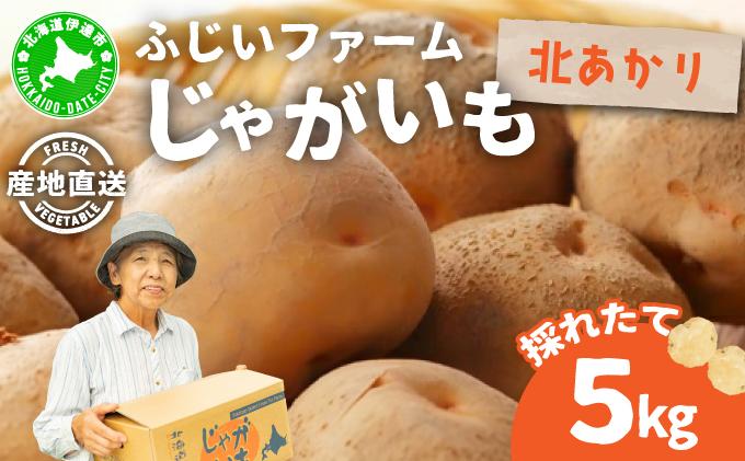 ＜先行予約＞北海道産 じゃがいも(北あかり) 約5kg【55250842】ジャガイモ 馬鈴薯 ポテト 芋 イモ きたあかり キタアカリ 野菜 人気 ふじいファーム