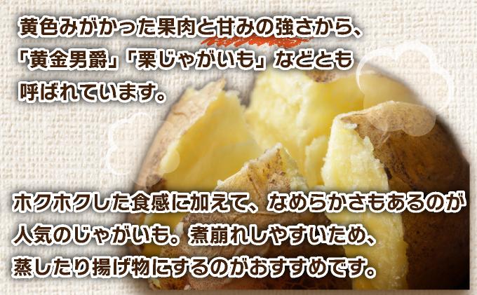 ＜先行予約＞北海道産 じゃがいも(北あかり) 約5kg【55250842】ジャガイモ 馬鈴薯 ポテト 芋 イモ きたあかり キタアカリ 野菜 人気 ふじいファーム