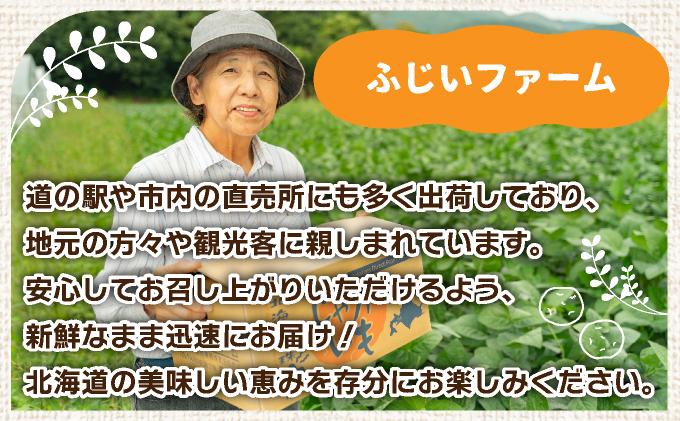 ＜先行予約＞北海道産 じゃがいも(北あかり) 約5kg【55250842】ジャガイモ 馬鈴薯 ポテト 芋 イモ きたあかり キタアカリ 野菜 人気 ふじいファーム