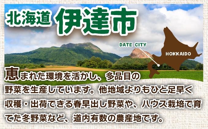 ＜先行予約＞北海道産 じゃがいも(北あかり) 約5kg【55250842】ジャガイモ 馬鈴薯 ポテト 芋 イモ きたあかり キタアカリ 野菜 人気 ふじいファーム