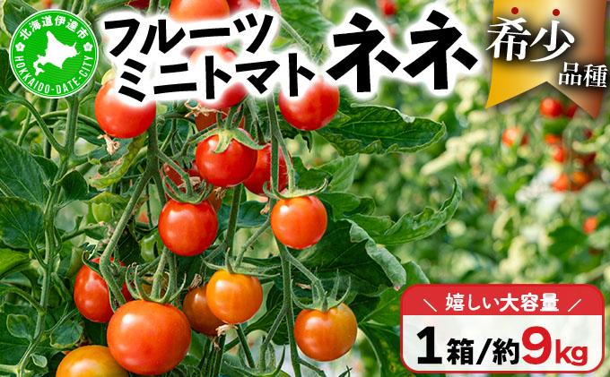 【2026年先行予約】北海道産 ミニトマト ネネ 約9kg フルーツトマト プチトマト 甘い 濃厚 彩り 鮮やか 希少 お中元 お歳暮 暑中見舞い 帰省土産 ご自宅用 産地直送 大滝農園 送料無料 北海道 伊達