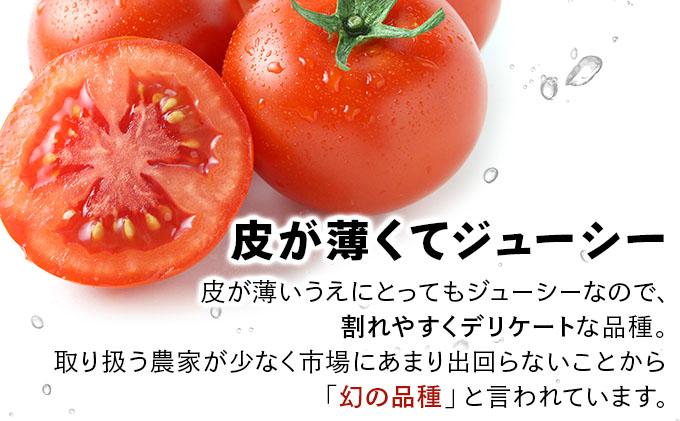 【2026年先行予約】北海道産 ミニトマト ネネ 約9kg フルーツトマト プチトマト 甘い 濃厚 彩り 鮮やか 希少 お中元 お歳暮 暑中見舞い 帰省土産 ご自宅用 産地直送 大滝農園 送料無料 北海道 伊達