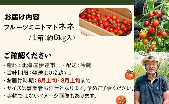 【2026年先行予約】北海道産 ミニトマト ネネ 約6kg フルーツトマト プチトマト 甘い 濃厚 彩り 鮮やか 希少 お中元 お歳暮 暑中見舞い 帰省土産 ご自宅用 産地直送 大滝農園 送料無料 北海道 伊達
