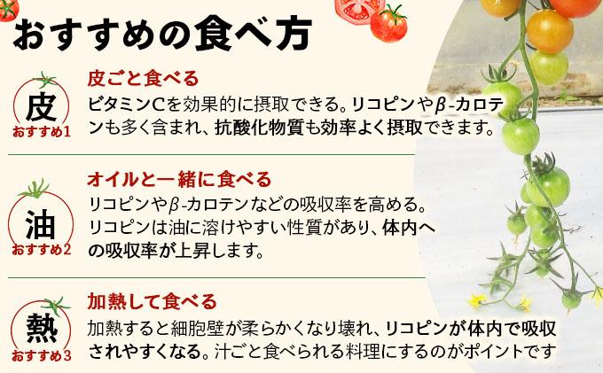 【2026年先行予約】北海道産 ミニトマト ネネ 約6kg フルーツトマト プチトマト 甘い 濃厚 彩り 鮮やか 希少 お中元 お歳暮 暑中見舞い 帰省土産 ご自宅用 産地直送 大滝農園 送料無料 北海道 伊達
