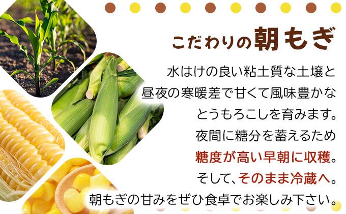 ã 2026幎å
è¡äºçŽãåæµ·é æãã ãšããããã æµå³ ãŽãŒã«ã L-LLãµã€ãº 20æ¬ ã¹ã€ãŒã ã³ãŒã³ ããŠã¢ãã³ã· ãšããã³ æ¬ å®ç éè æ¡ãããŠ ææ¡ã çã ããã¿ ç£å°çŽé éç£ éæç¡æ