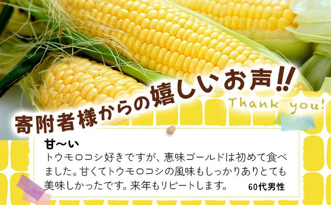 ã 2026幎å
è¡äºçŽãåæµ·é æãã ãšããããã æµå³ ãŽãŒã«ã L-LLãµã€ãº 20æ¬ ã¹ã€ãŒã ã³ãŒã³ ããŠã¢ãã³ã· ãšããã³ æ¬ å®ç éè æ¡ãããŠ ææ¡ã çã ããã¿ ç£å°çŽé éç£ éæç¡æ