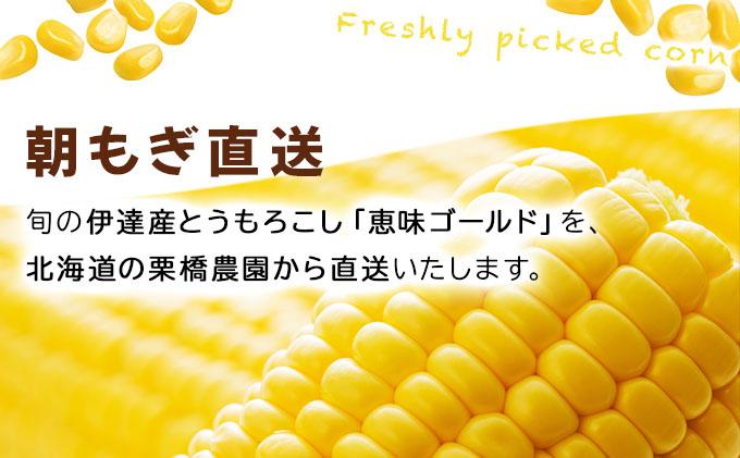 ã 2026幎å
è¡äºçŽãåæµ·é æãã ãšããããã æµå³ ãŽãŒã«ã L-LLãµã€ãº 20æ¬ ã¹ã€ãŒã ã³ãŒã³ ããŠã¢ãã³ã· ãšããã³ æ¬ å®ç éè æ¡ãããŠ ææ¡ã çã ããã¿ ç£å°çŽé éç£ éæç¡æ