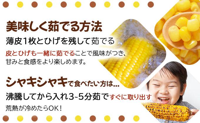 ã 2026幎å
è¡äºçŽãåæµ·é æãã ãšããããã æµå³ ãŽãŒã«ã L-LLãµã€ãº 20æ¬ ã¹ã€ãŒã ã³ãŒã³ ããŠã¢ãã³ã· ãšããã³ æ¬ å®ç éè æ¡ãããŠ ææ¡ã çã ããã¿ ç£å°çŽé éç£ éæç¡æ