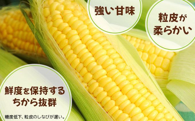 ã 2026幎å
è¡äºçŽãåæµ·é æãã ãšããããã æµå³ ãŽãŒã«ã L-LLãµã€ãº 20æ¬ ã¹ã€ãŒã ã³ãŒã³ ããŠã¢ãã³ã· ãšããã³ æ¬ å®ç éè æ¡ãããŠ ææ¡ã çã ããã¿ ç£å°çŽé éç£ éæç¡æ