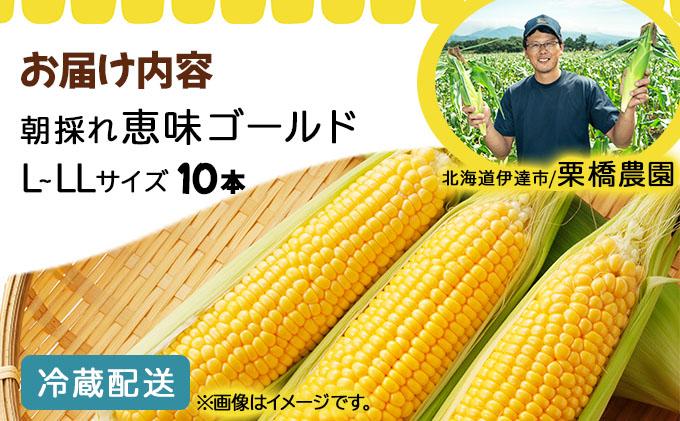 ã 2026幎å
è¡äºçŽãåæµ·é æãã ãšããããã æµå³ ãŽãŒã«ã L-LLãµã€ãº 10æ¬ ã¹ã€ãŒã ã³ãŒã³ ããŠã¢ãã³ã· ãšããã³ æ¬ å®ç éè æ¡ãããŠ ææ¡ã çã ããã¿ ç£å°çŽé éç£ éæç¡æ