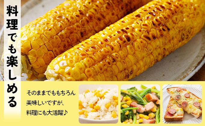 ＜先行予約＞【2026年発送】北海道産 とうもろこし 味来 L～LLサイズ 20本入り【55250823】トウモロコシ みらい ミライ とうきび スイート イエロー コーン 旬 新鮮 朝もぎ 農作物 甘い お取り寄せ 産地直送 送料無料
