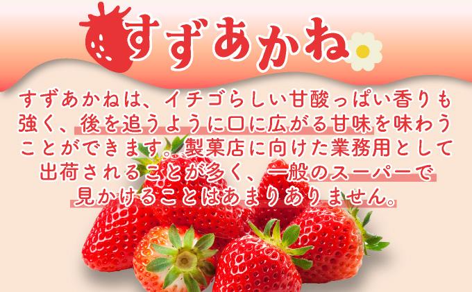 北海道産 ストロベリーミルクプリン 5個入 森のおくりもの プリン いちご イチゴ 苺 ストロベリー 牧家 Bocca だて牛乳 ミルク 牛乳 すずあかね お菓子 おやつ スイーツ デザート いちごみるく 規格外 常温 送料無料