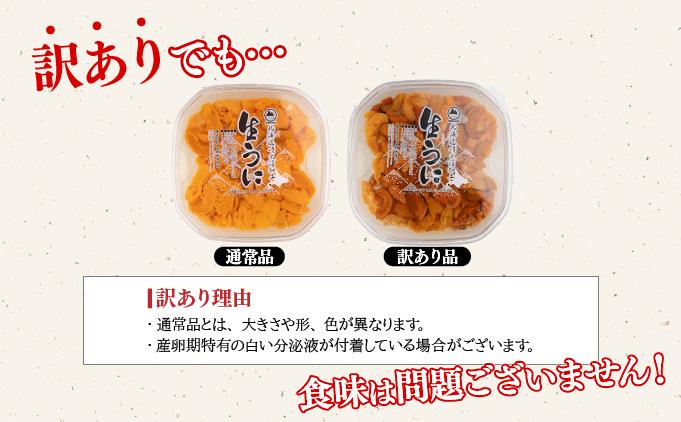 訳あり 北海道 噴火湾産 塩水 バフンウニ 100g 1パック うに ウニ 雲丹 海鮮 海の幸 魚介類 ウニ丼 お寿司 濃厚 無添加 産地直送 お取り寄せ 山村水産 送料無料