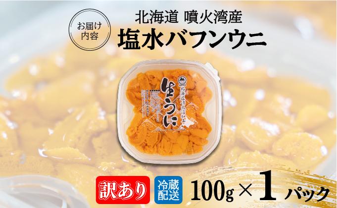 訳あり 北海道 噴火湾産 塩水 バフンウニ 100g 1パック うに ウニ 雲丹 海鮮 海の幸 魚介類 ウニ丼 お寿司 濃厚 無添加 産地直送 お取り寄せ 山村水産 送料無料