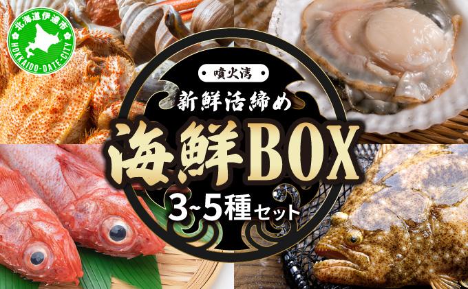 北海道 伊達　噴火湾 水揚げ 今野水産 新鮮 活締め 海鮮 BOX 3～5種セット