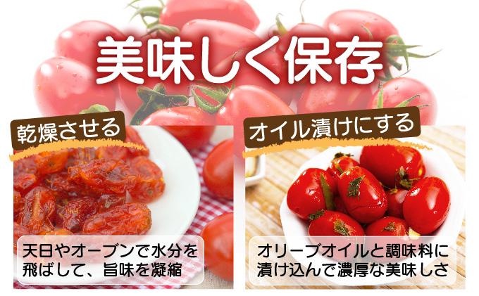 【2026年先行予約】北海道 伊達 岡本園芸 ミニトマト 高糖度 約4kg【マジウマ！トマト】