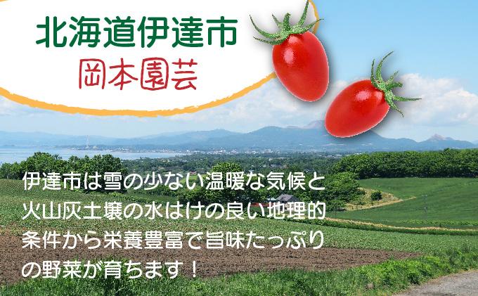 【2026年先行予約】北海道 伊達 岡本園芸 ミニトマト 高糖度 約4kg【マジウマ！トマト】